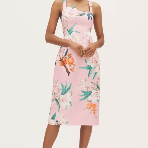 Leo Lin 'Larissa' Midi Dress in Lavish Print in Pink (NWOT) - Picture 2 of 12